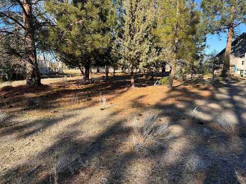 Unit 5 Lot 29 Palmer Dr, Weed, CA 96094