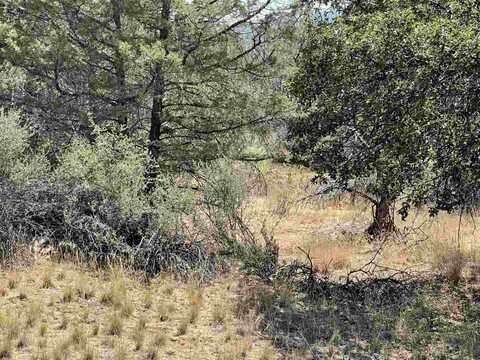 100+- Taylor lane, Yreka, CA 96097