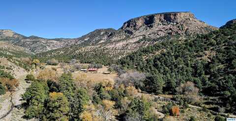 435 Mineral Creek Road, Alma, NM 88039