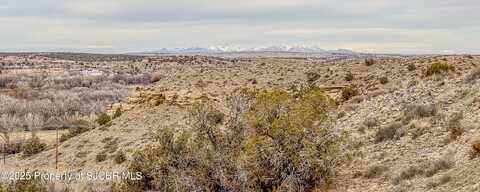 X ROAD 3691, Aztec, NM 87410