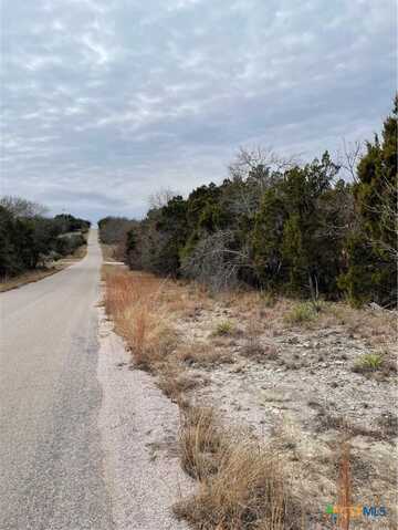 Tbd County Road 3062, Kempner, TX 76550