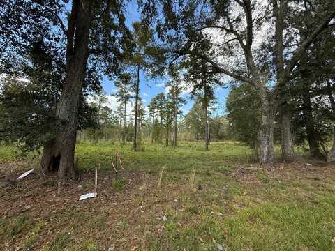 LOT # 5 OLD HWY 33, Centreville, MS 39631