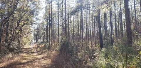 00 Bean Rd, Osyka, MS 39657