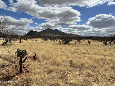 TBD Camino Nacozari/ Camino Talave, Tubac, AZ 85646