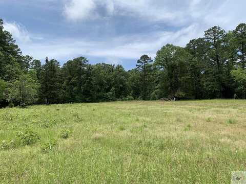 TBD 3 FOLD RD, Atlanta, TX 75551