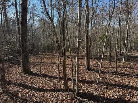 Lot 6 Cumberland Cove Rd., MONTEREY, TN 38574