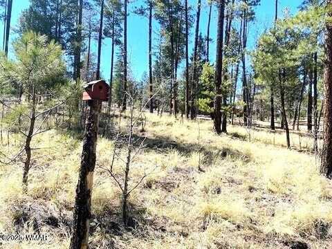 000 County Road 2191, Alpine, AZ 85920