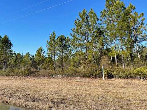 0 N Hwy 341, Odum, GA 31555