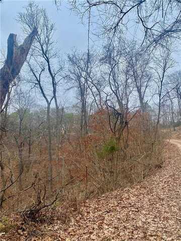 TBD Rancho Vista LN, Eureka Springs, AR 72631