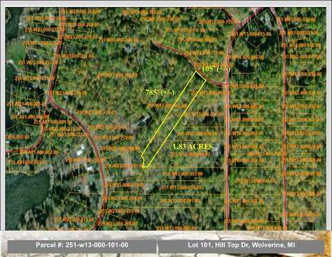 Lot 101 Hill Top Drive, Wolverine, MI 49799