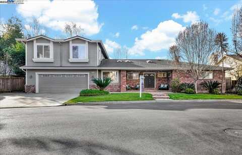 202 Del Valle Ct, Pleasanton, CA 94566