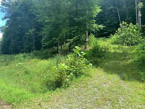 Mountain Laurel Road, SUMMERSVILLE, WV 26651