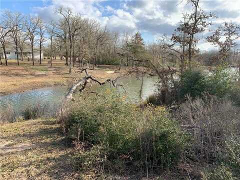 1505 Pin Tail Cove, Caldwell, TX 77836