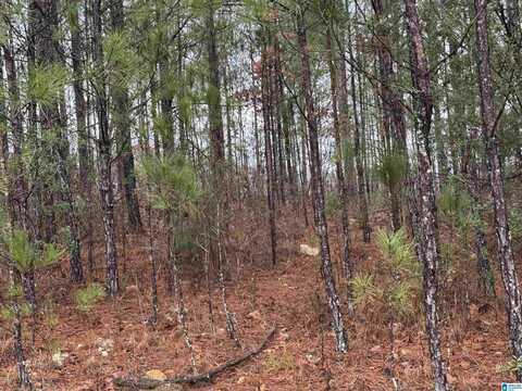 310 WILLOW LANE, VINCENT, AL 35178