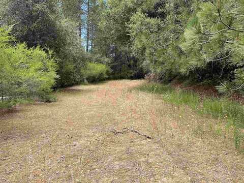 11797 Rambler Rd, Columbia, CA 95310