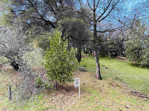 2-81 Mueller, Groveland, CA 95321