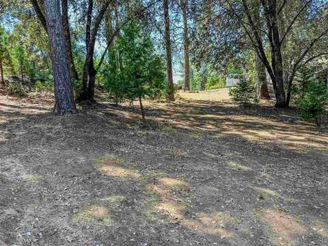 13-358 Pine Mountain, Groveland, CA 95321