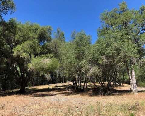 21930 Lyons Bald Mountain, Sonora, CA 95370