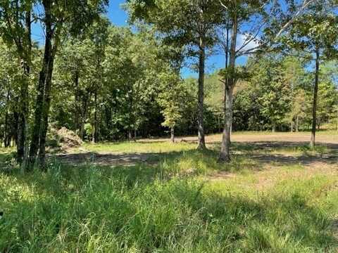 2800 Sparrowhawk Lane, Pocahontas, AR 72455