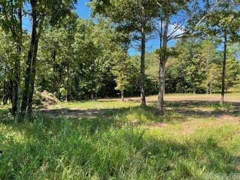 2800 Sparrowhawk Lane, Pocahontas, AR 72455