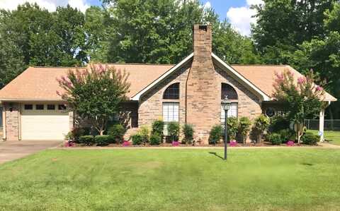 308 Jenny Lind Dr, Mena, AR 71953