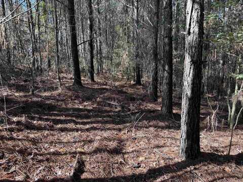 TBD Polk Road 13, Wickes, AR 71953