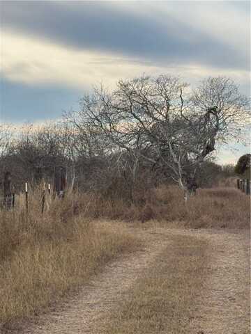 County Road 3463, Taft, TX 78390