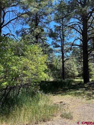 30 Knollwood Court, Pagosa Springs, CO 81147