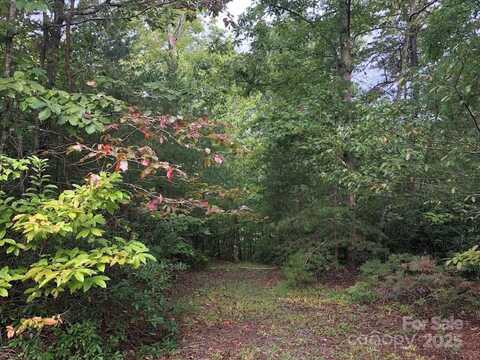 81 N Mill Ridge, Nebo, NC 28761