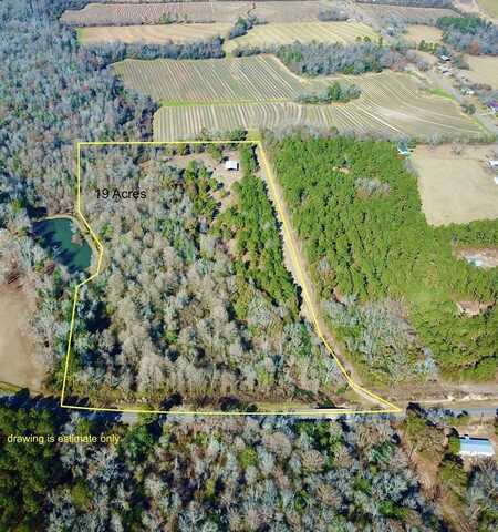 5345 Lucy Grade  19 Acres, Ashford, AL 36312