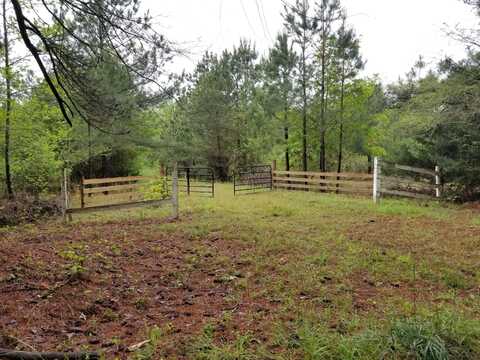 1651 GOLDMAN JOHNSON Road, Lincolnton, GA 30817