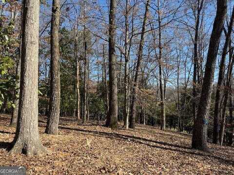 1542 Blueridge, Gainesville, GA 30501