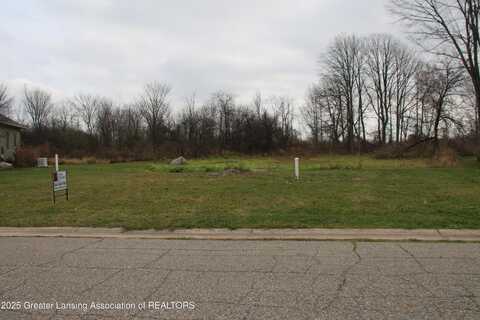 Doe Pass lot: 47, Lansing, MI 48917