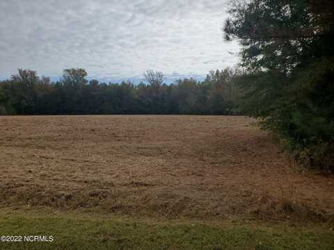 Lot 75 Eagle Nest Trail, Blounts Creek, NC 27814