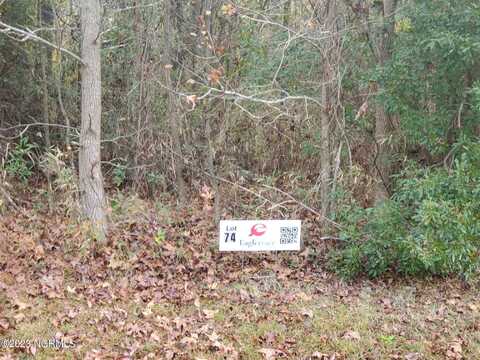 Lot 74 Eagle Nest Trail, Blounts Creek, NC 27814