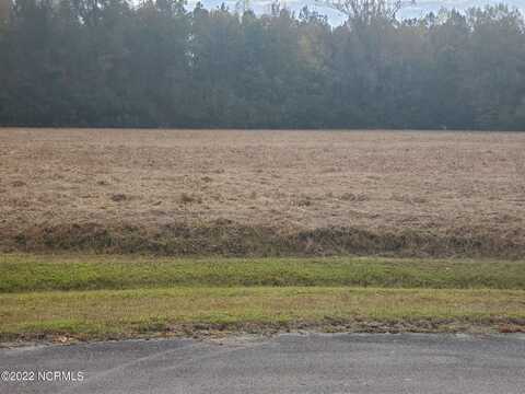 Lot 76 Eagle Nest Trail, Blounts Creek, NC 27814