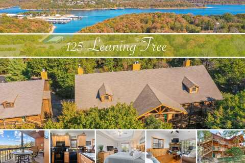 24 Village Trail, Branson, MO 65616