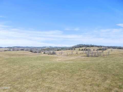 +-122.76ac Spring Creek Road, Dandridge, TN 37725