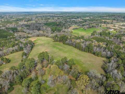 420 County Road 2201, Rusk, TX 75785