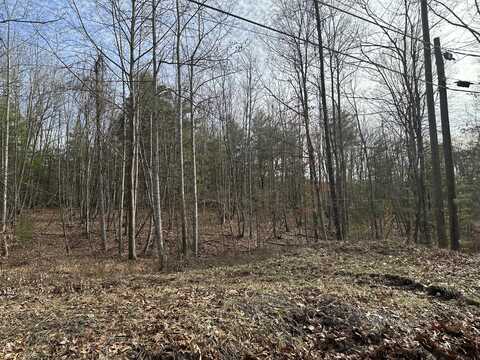 Lot 2 Rt. 1 Muddy Creek Mountain, Alderson, WV 24910