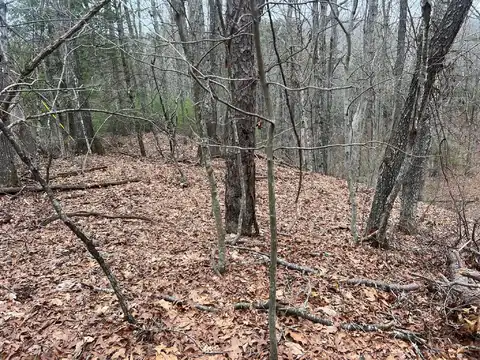 Rattlesnake Run Road, Gap Mills, WV 24941