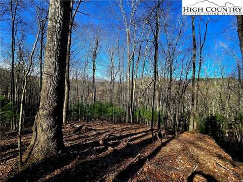 Lot 33 Riverstone, Laurel Springs, NC 28644