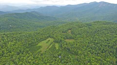 1575 Lloyd Cove Road, Scaly Mountain, NC 28775