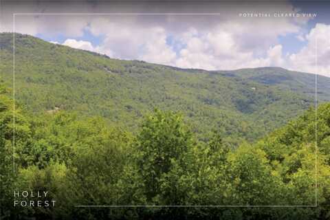 Lot 91 Bald Eagle Court, Sapphire, NC 28774
