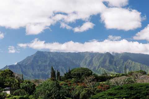 6546-D KUAMOO RD unit: 3, Kapaa, HI 96746