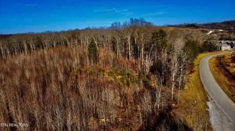 Bear Creek 030 010.00 (Lot 8) Rd, Oneida, TN 37841