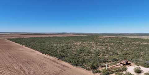 CR 3186, Colorado City, TX 79512