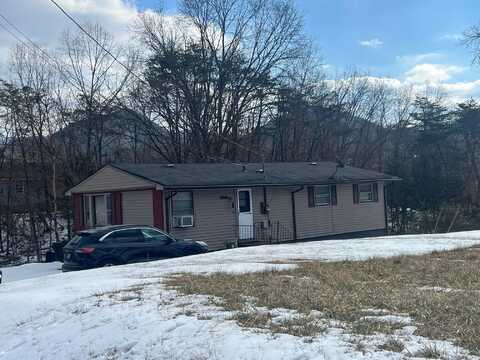 154 W 31st ST, Buena Vista, VA 24416