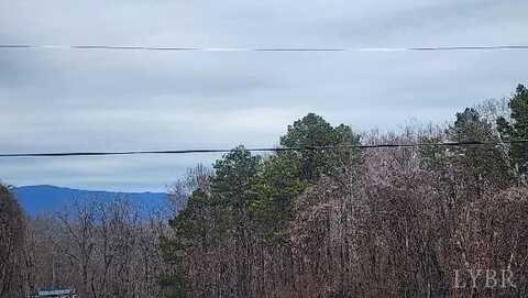 0-Tract A Forest Road, Bedford, VA 24523