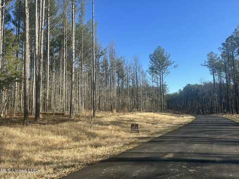 Springwood Trail, Flora, MS 39071